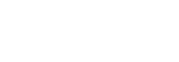 wlesh government logo